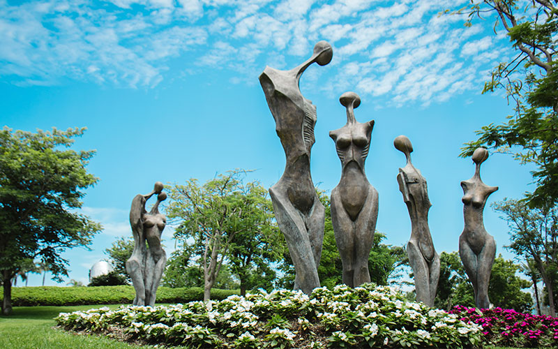 Jardines de México: cuando la curiosidad te atrapa.