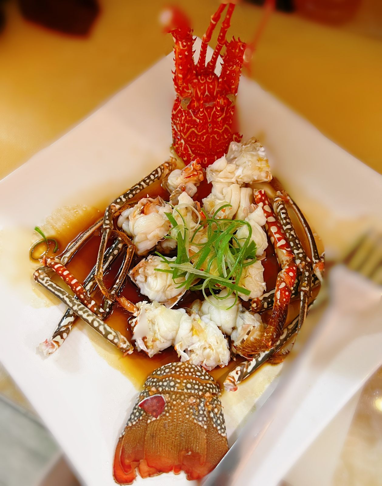 Cosmos Cuisine celebra su primer aniversario