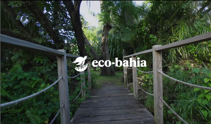 Nueva imagen Fundación Eco Bahía