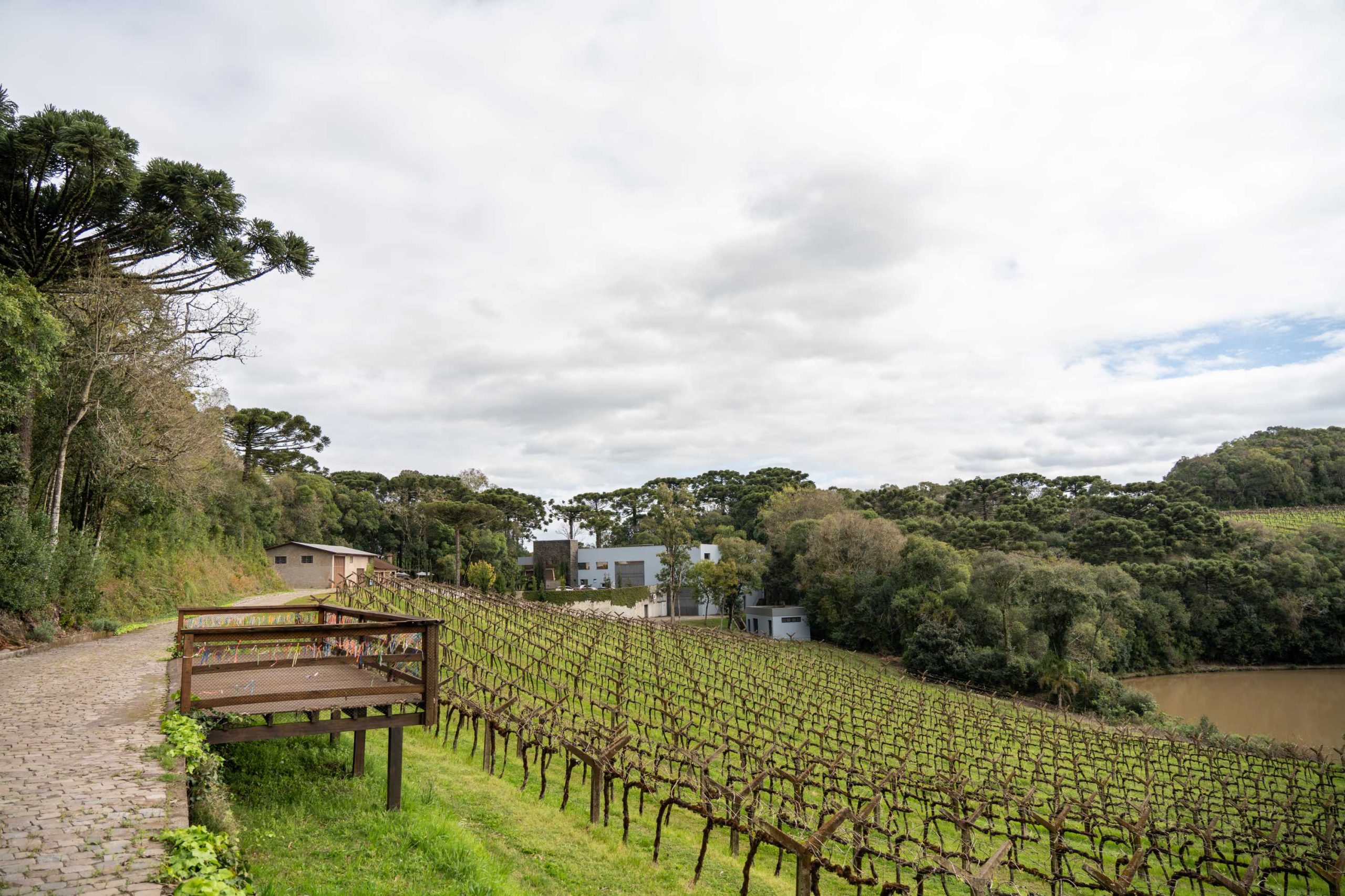 Caxias do Sul: encanto italiano en el sur de Brasil